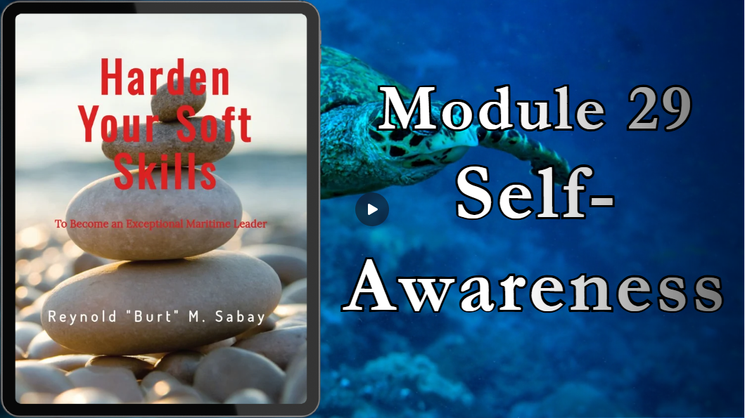 Module 29:   Self-Awareness